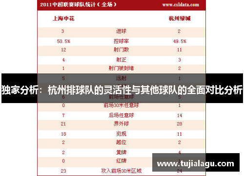 独家分析：杭州排球队的灵活性与其他球队的全面对比分析