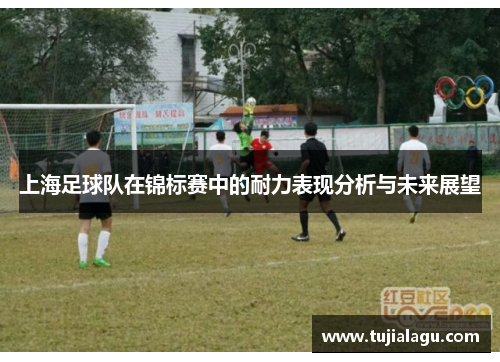 上海足球队在锦标赛中的耐力表现分析与未来展望