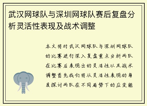 武汉网球队与深圳网球队赛后复盘分析灵活性表现及战术调整