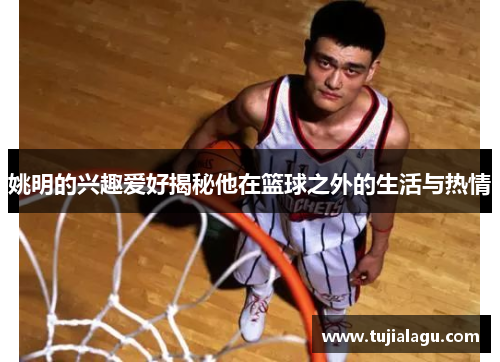 姚明的兴趣爱好揭秘他在篮球之外的生活与热情