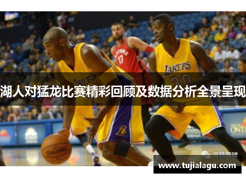 湖人对猛龙比赛精彩回顾及数据分析全景呈现